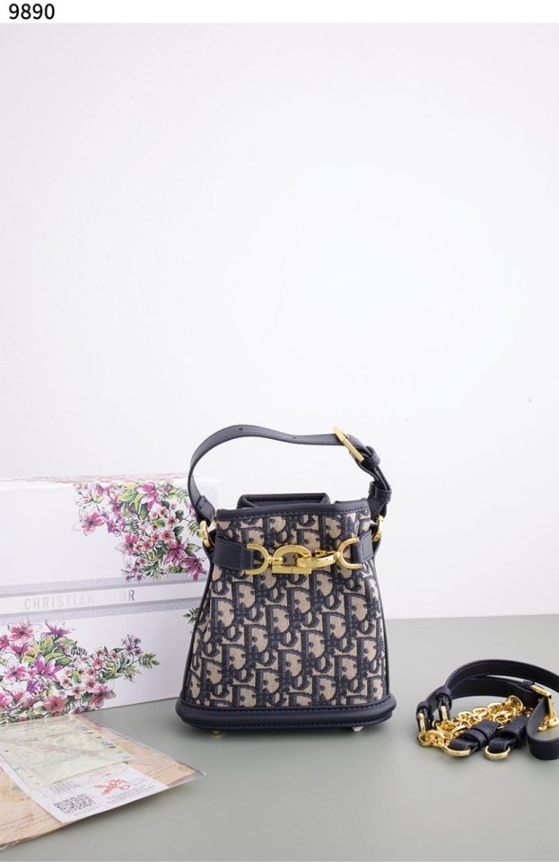 디올 Cest Dior 스몰 백  