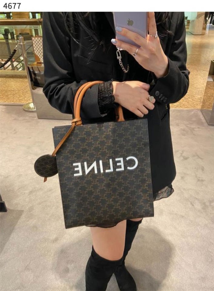 셀린느 버티컬 카바스 라지백  