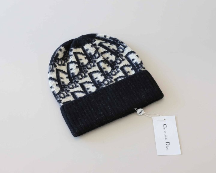 디올  오블리크 비니   